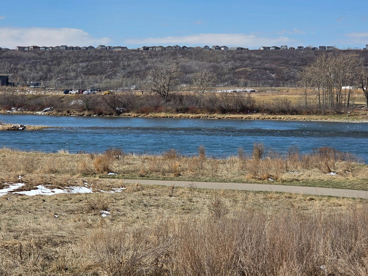 WalkingCalgary's tweet image. Another set of images tracing our navigations through #Cranston

#Calgary  #yyc