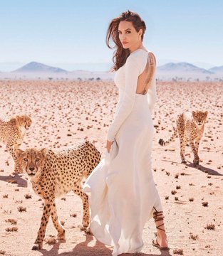 ネットの珍動画研究所 tweet media