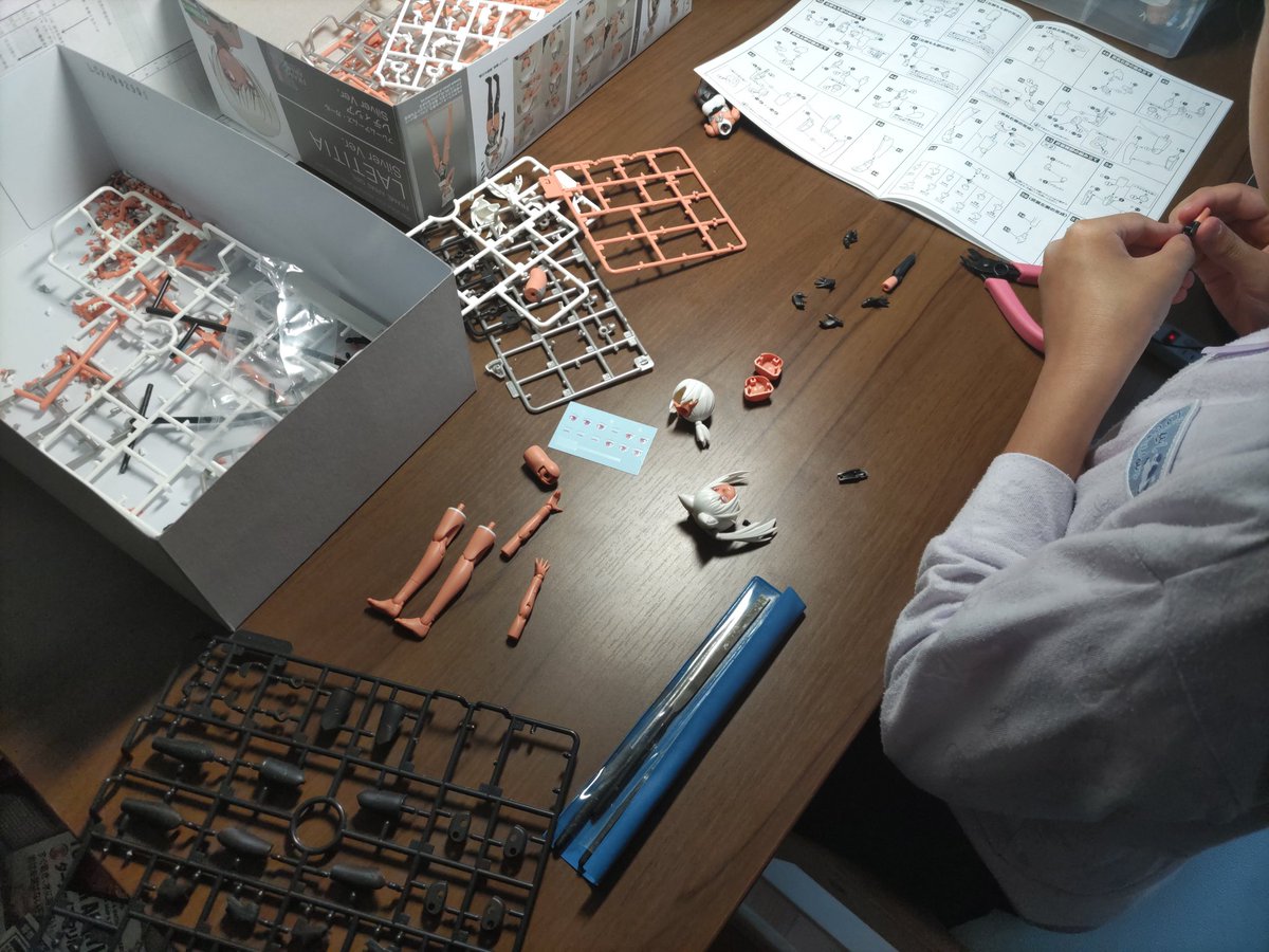 娘「お父さん！このパーツ、Rって書いてある！」
僕「右って意味だね 英語でRightなのでR」
娘「へー！こっちはLだ！」
僕「Lは左だね Left」
娘「あ！まさかSwitchのコントローラーのLRって…」
僕「そうだねぇ世界の謎がひとつ解き明かされたね」
娘「うおー！」

学校行く前の模活