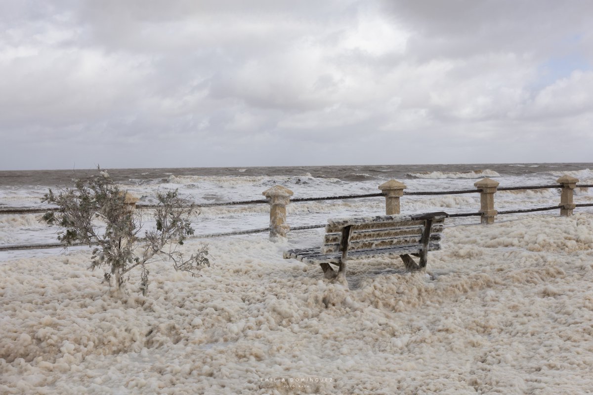 Emilia Domínguez tweet media