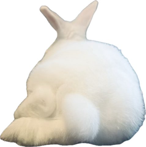 bunny luvr tweet media