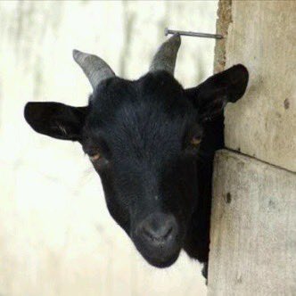 KING📈 tweet media