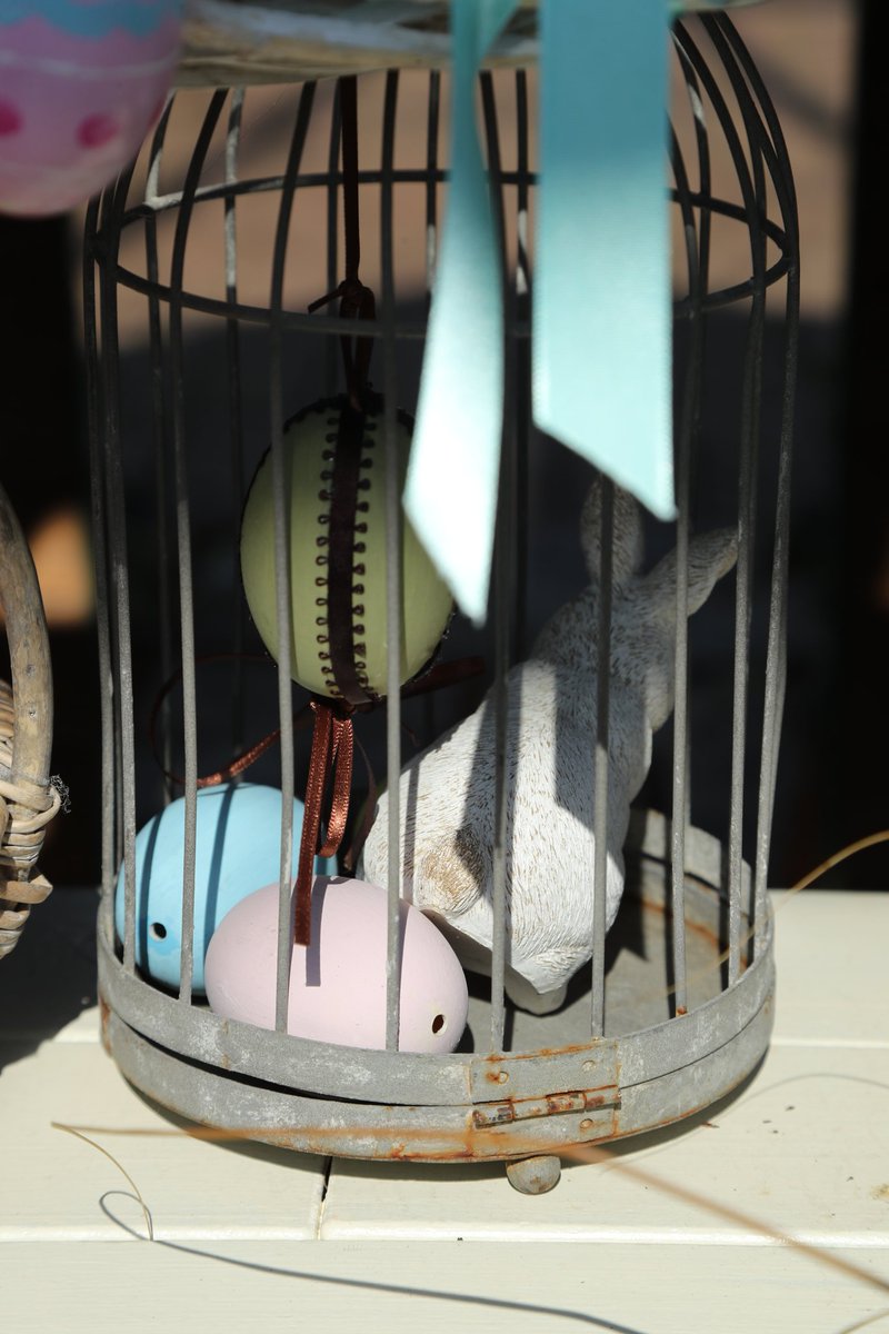 CDI881's tweet image. 囚われのウサギと卵🐰🥚

#横浜イングリッシュガーデン
#スプリングフェスティバル
#Easter
#イースター
#イースターエッグ