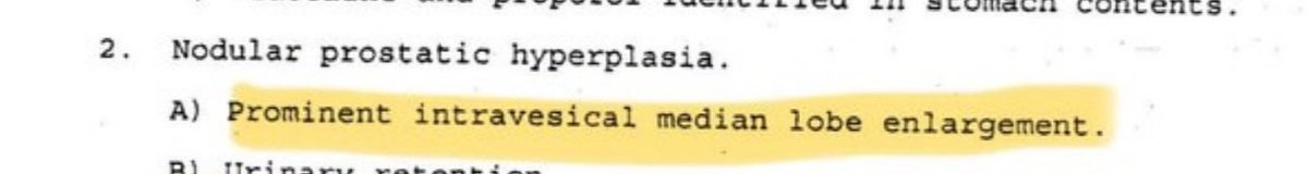 CatDance tweet media