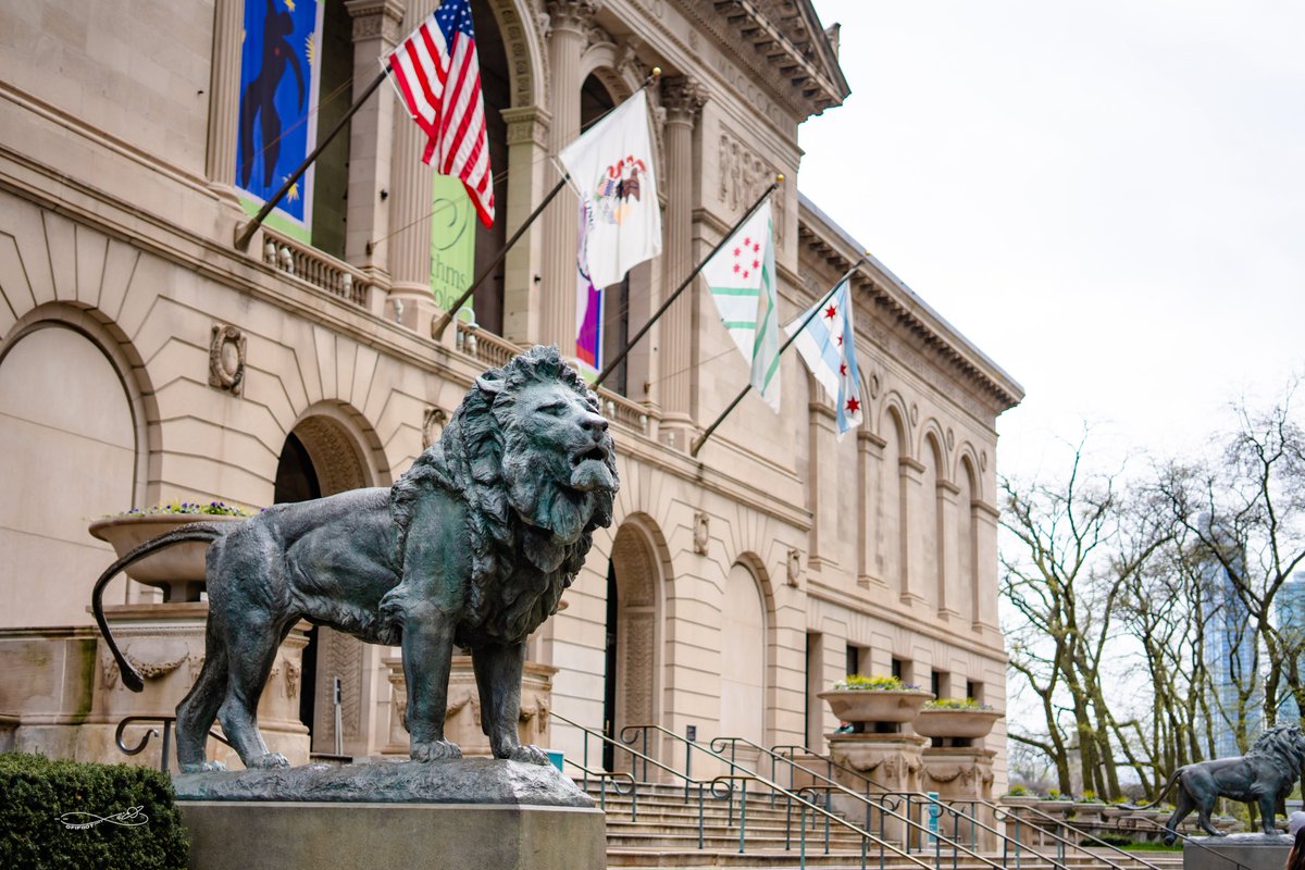 ゆき🐈‍⬛ tweet media