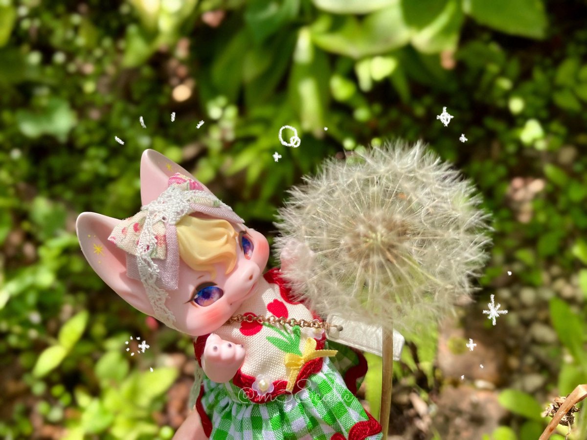 やまうさぎ𖤣𖥧 tweet media