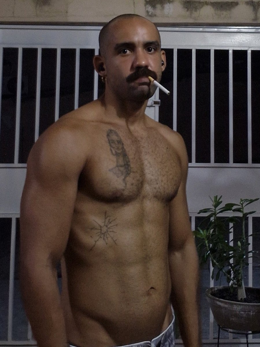 Carcará tweet media