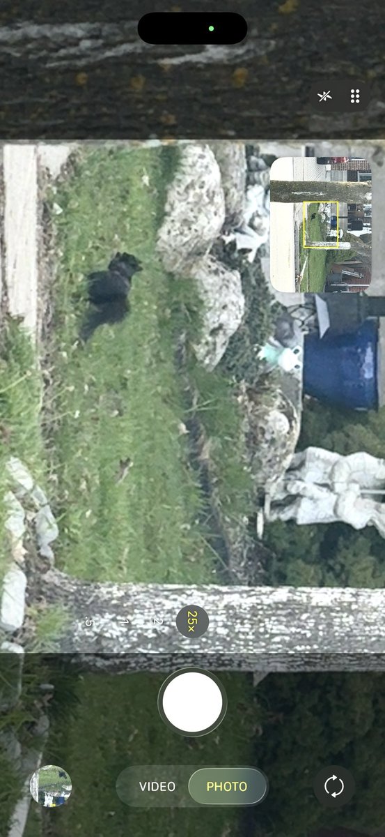 Toyboid's tweet image. #Apple 🍎 #MacBookPro 🐿️ #iPhone 🥹