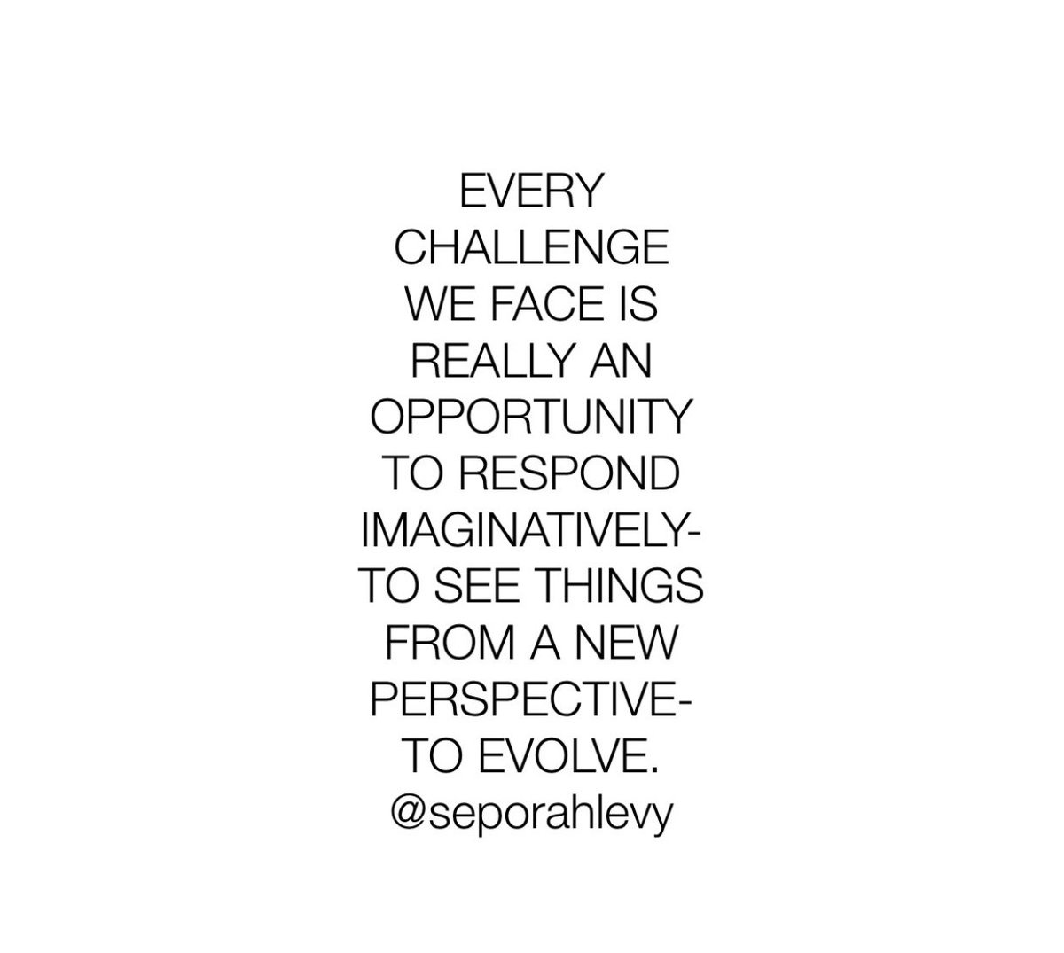 Seporah Levy tweet media