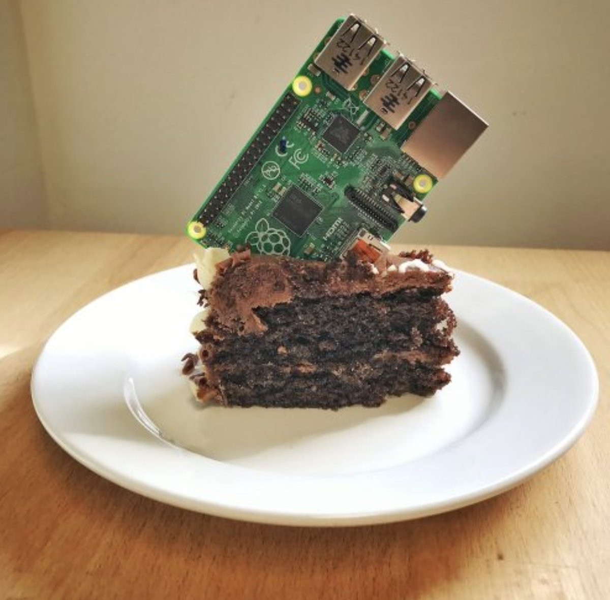 Terran Mott tweet media