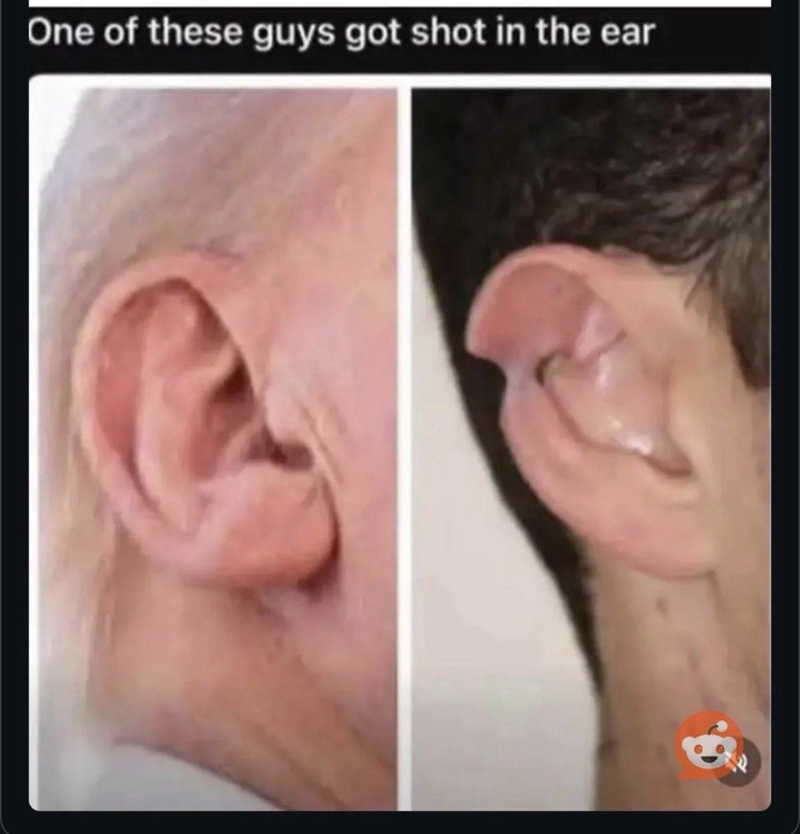 Pissed off George. MAGA are fascists. tweet media