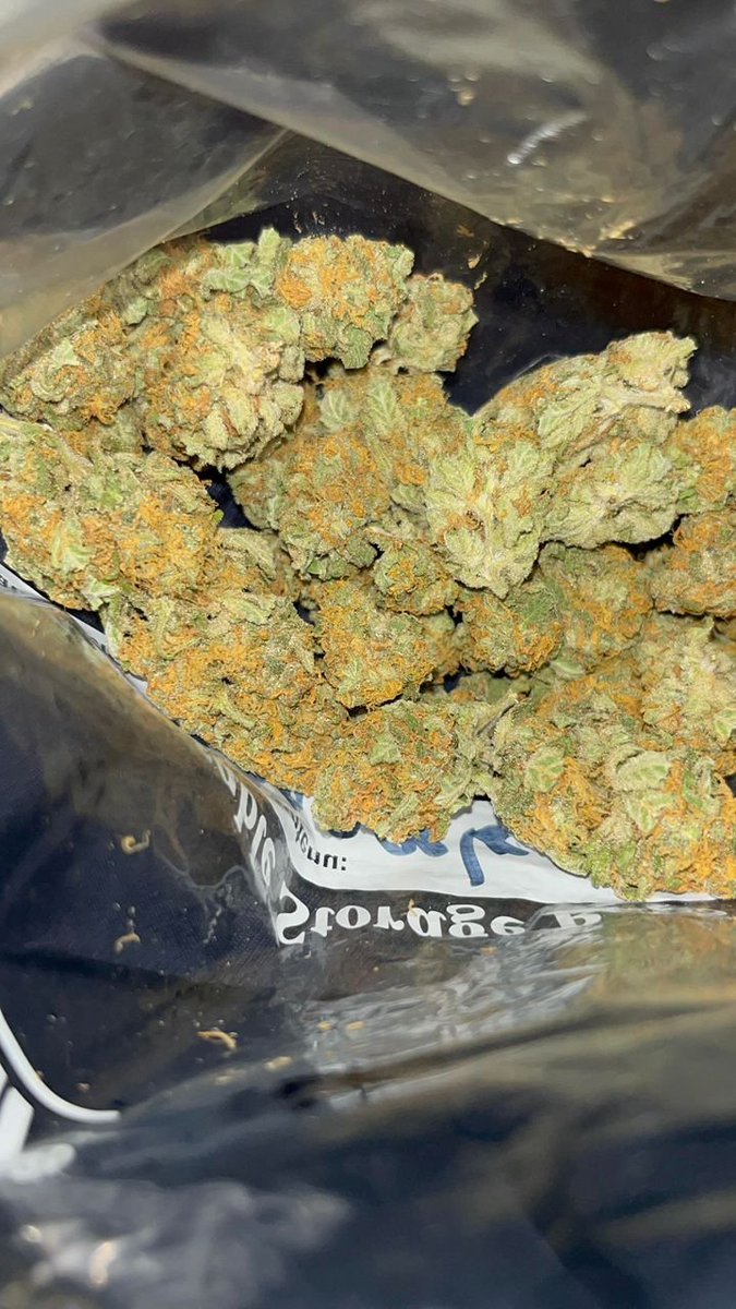 MadzangaTshili1's tweet image. Sativa indica hybrid high potency cookies
Disposable vape carts thc vapes in Bulk
Distro Cali weed plug smoke moon rocks 
Zkittlez Pink Runtz discrete shipping to London UK Bristol Manchester 
#Liverpool #Fulham #halland #City #Arsenal #Bondi