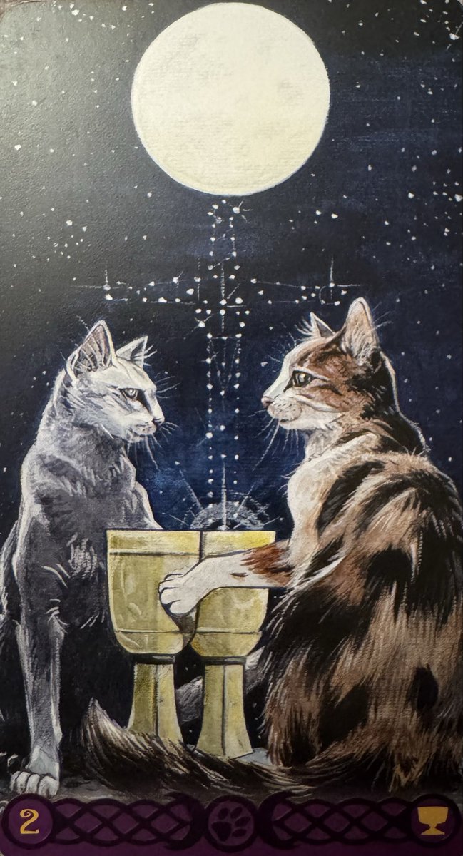AngelicAwarenes's tweet image. Cat Tarot Motivation 
2 of Cups
Feeling Loved Up!
A balanced relationship, connection, commitment and harmony!  
For tarot readings by FaceTime or phone message 07362859607 GMT time zone.  Over eighteen. 
#pagancattarot
#psychicreadings 
#lovereading
#tarot
#fortuneteller
