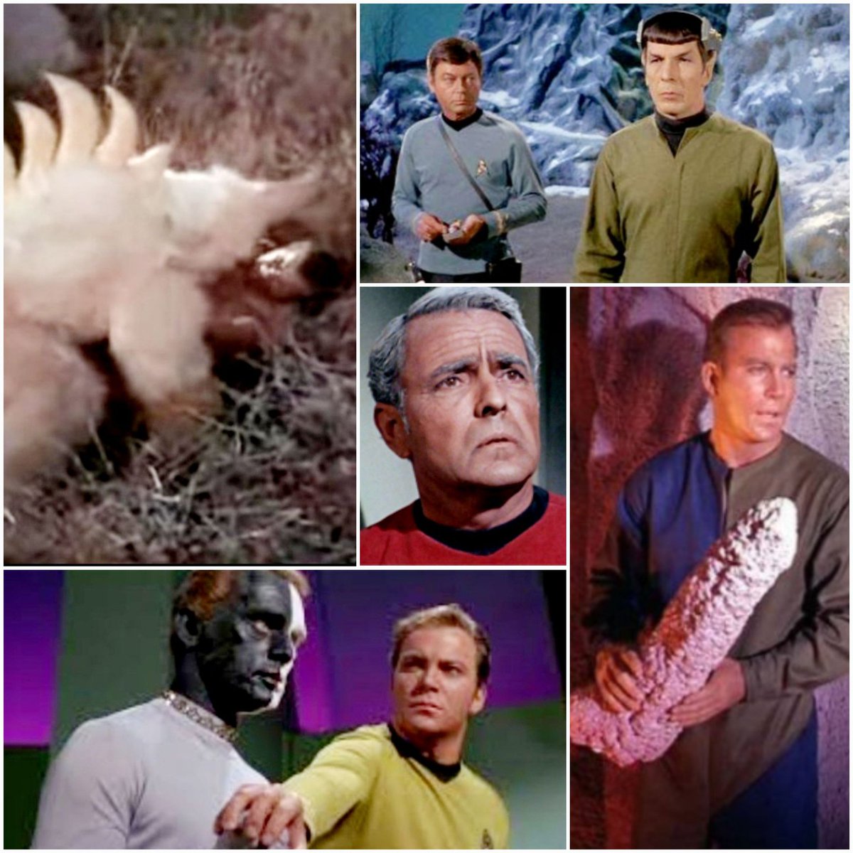 TedRampion's tweet photo. #AllStarTrek #IMudd Not much for TOS' humor episodes, but other episodes... Capt Kirk w/ his stone weiner, McCoy steering Spock around, Mugato gettin busy w/ the Cap, the Riddler seething at his foe, Scotty coming out of a meeting w/ his tax guy... been chuckling at em for 60 yrs https://t.co/mxMd097Wwl