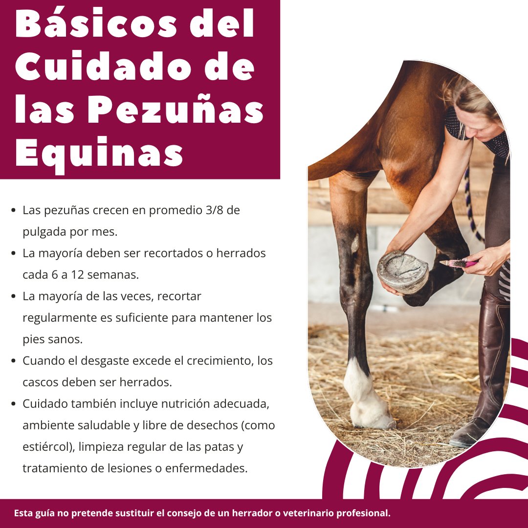 NMSU Extension Pubs tweet media