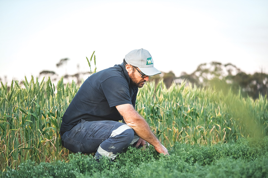 GRDC tweet media