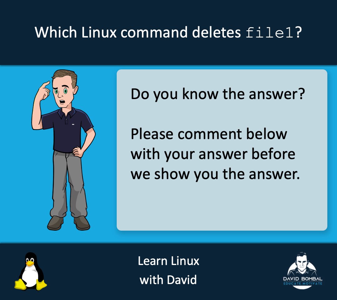 David Bombal tweet media