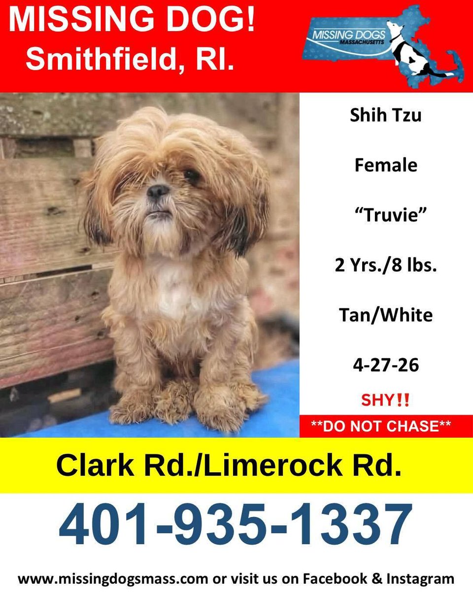 SistersInBiz's tweet image. Female Shih Tzu
#Lostdog
4-27-26
Missing from the area of Clark Rd./Limerock Rd.
#SmithfieldRI #RI
‘Truvie' is 2 Yrs./8 lbs
Tan/White
Missing from the area of Clark Rd./Limerock Rd.
Truvie is SHY Do Not Chase
Call: 401-935-1337 buff.ly/TaLOGuW 
#Rhodeisland #Oceanstate