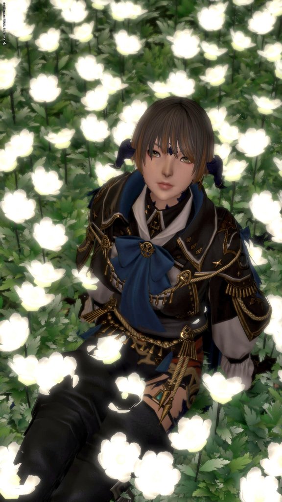 タナゴンFF14垢 tweet media