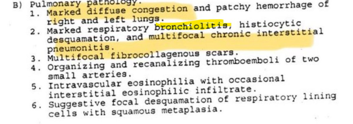 CatDance tweet media
