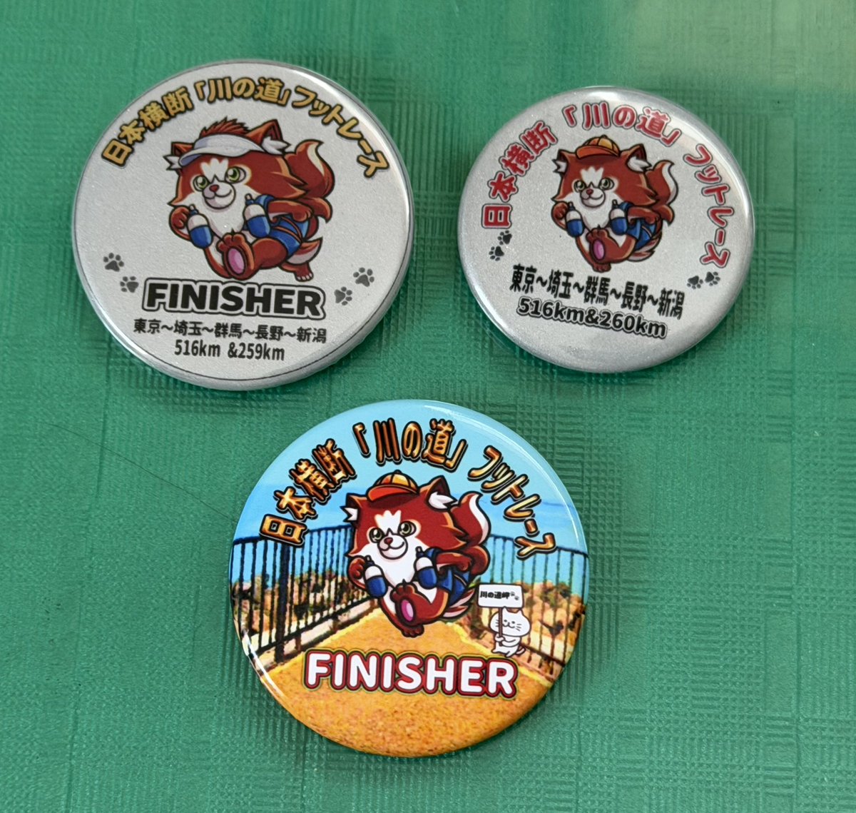 MMラック@青梅・北欧猫との生活 tweet media