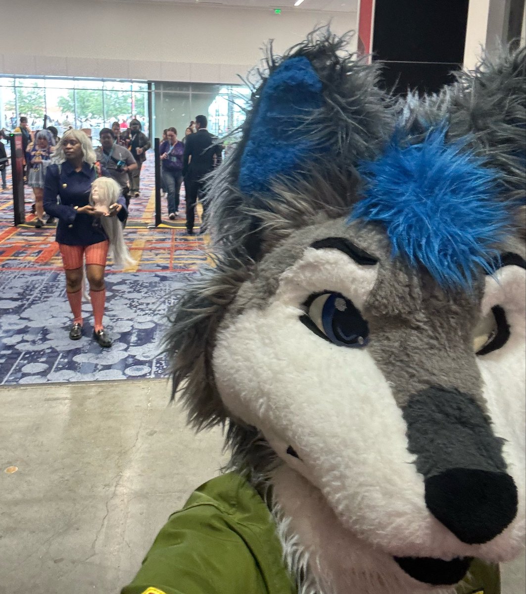 Plainrock124 tweet media