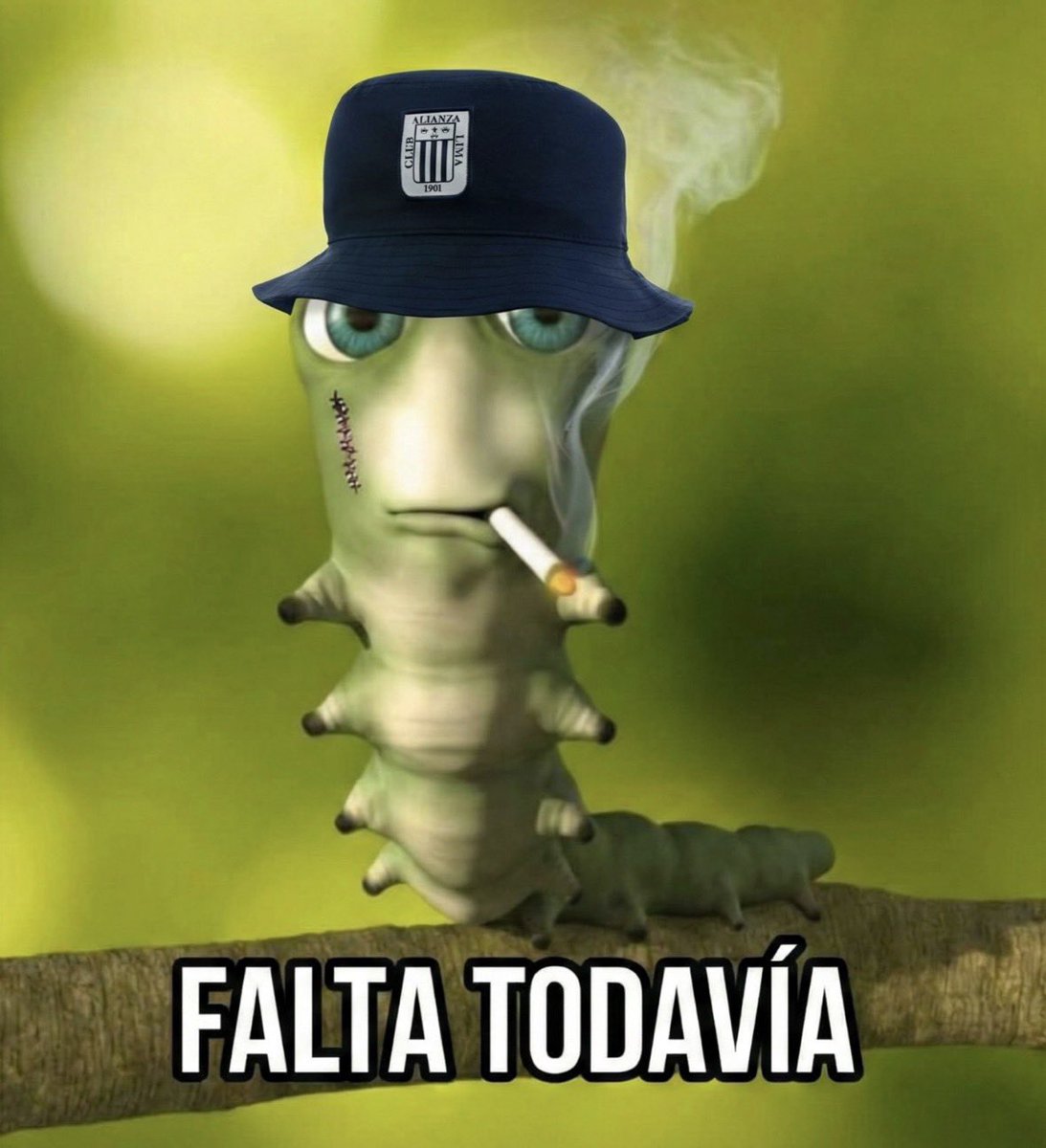 𝗔𝗹𝗲𝗷𝗼 tweet media