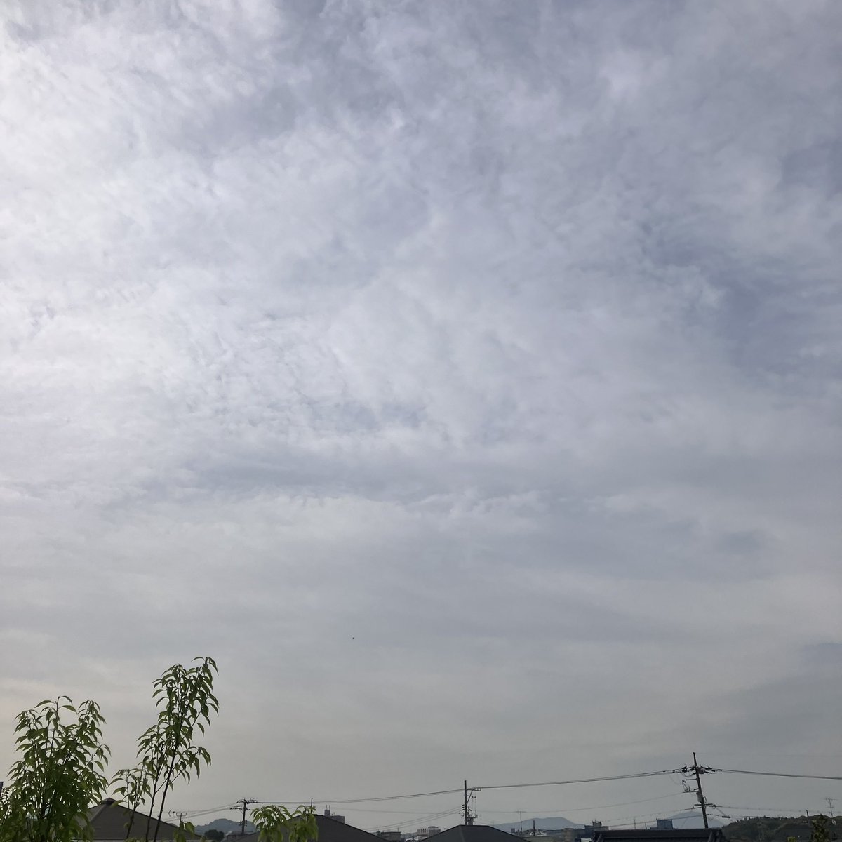 Sally_812's tweet image. Good morning!
Cloudy Tuesday here. 
Have a  nice day / night all😊

#ohayo 
#April 
#sky 
#イマソラ　
#キリトリセカイ 
#4月　
💟☮️