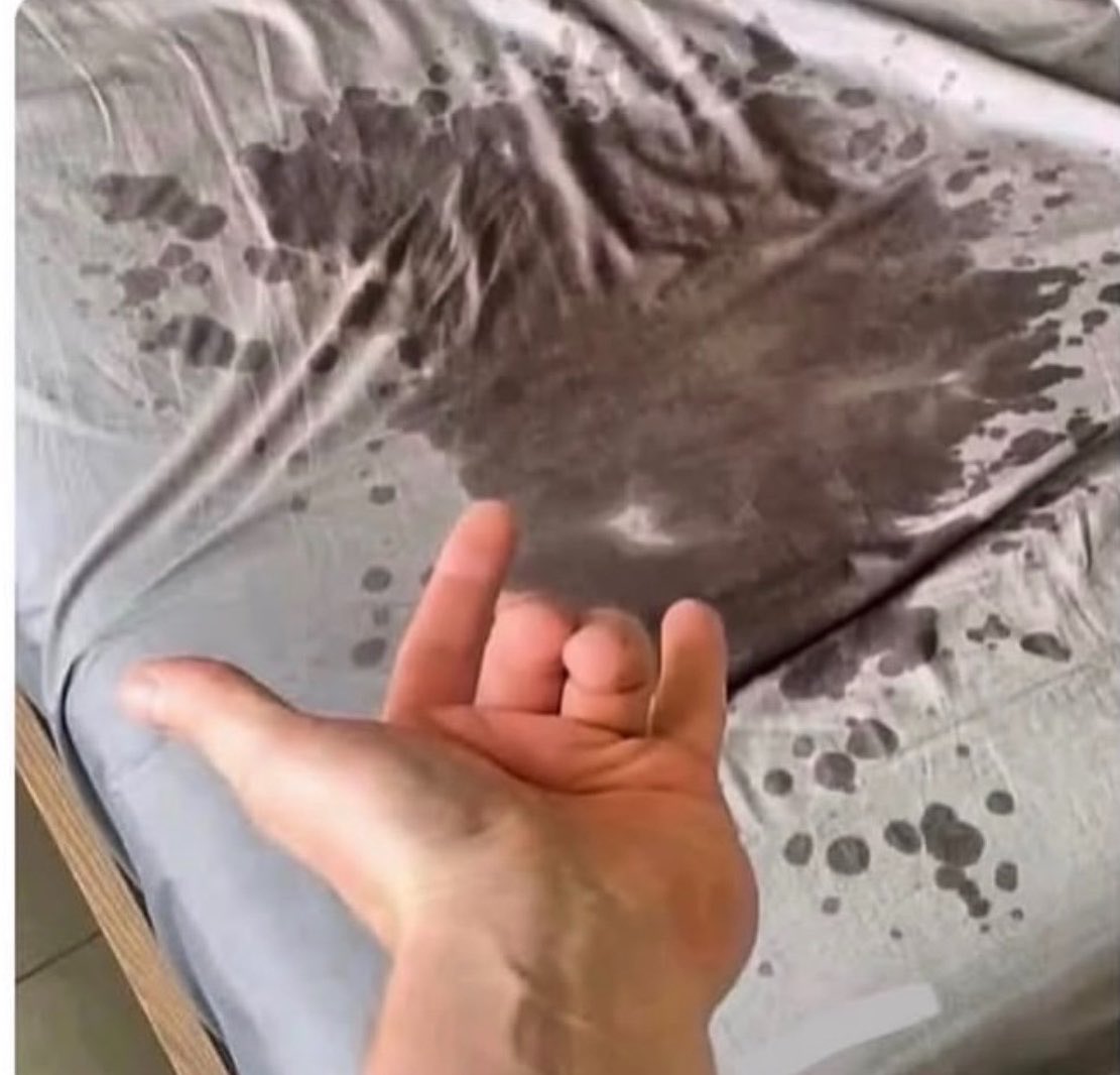 🏈 Steelers Girl 🏈 tweet media