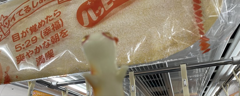 猫好き🐈‍⬛猫アレルギー tweet media