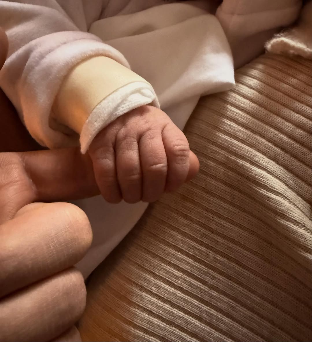 Tiempo De Tenis tweet media