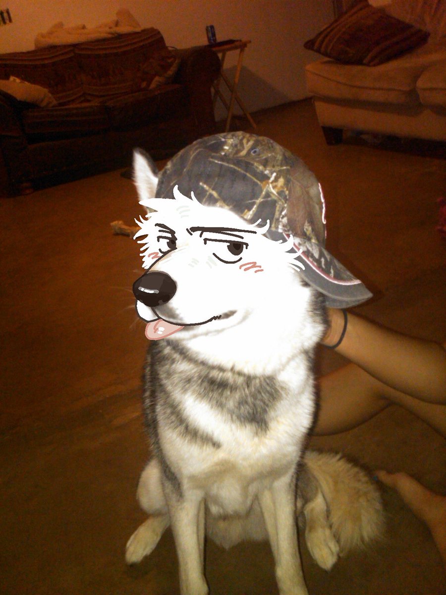 muzzlrr's tweet image. who else feelin like #woof…?