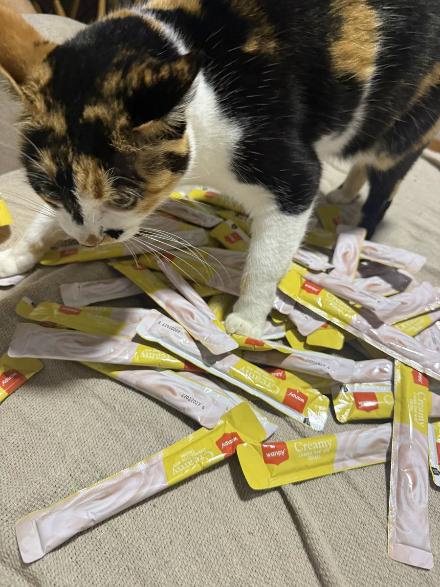 Guilherme Nunes tweet media