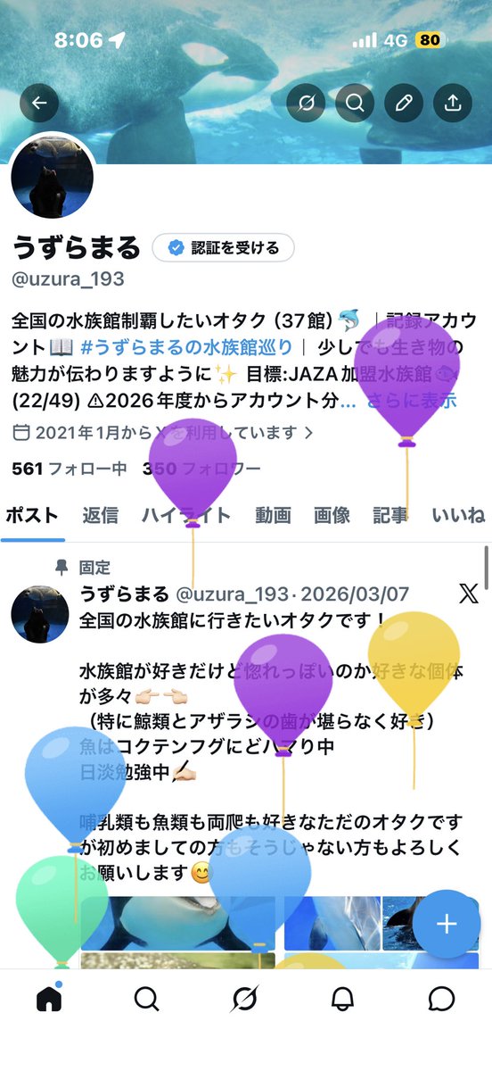 うずらまる tweet media