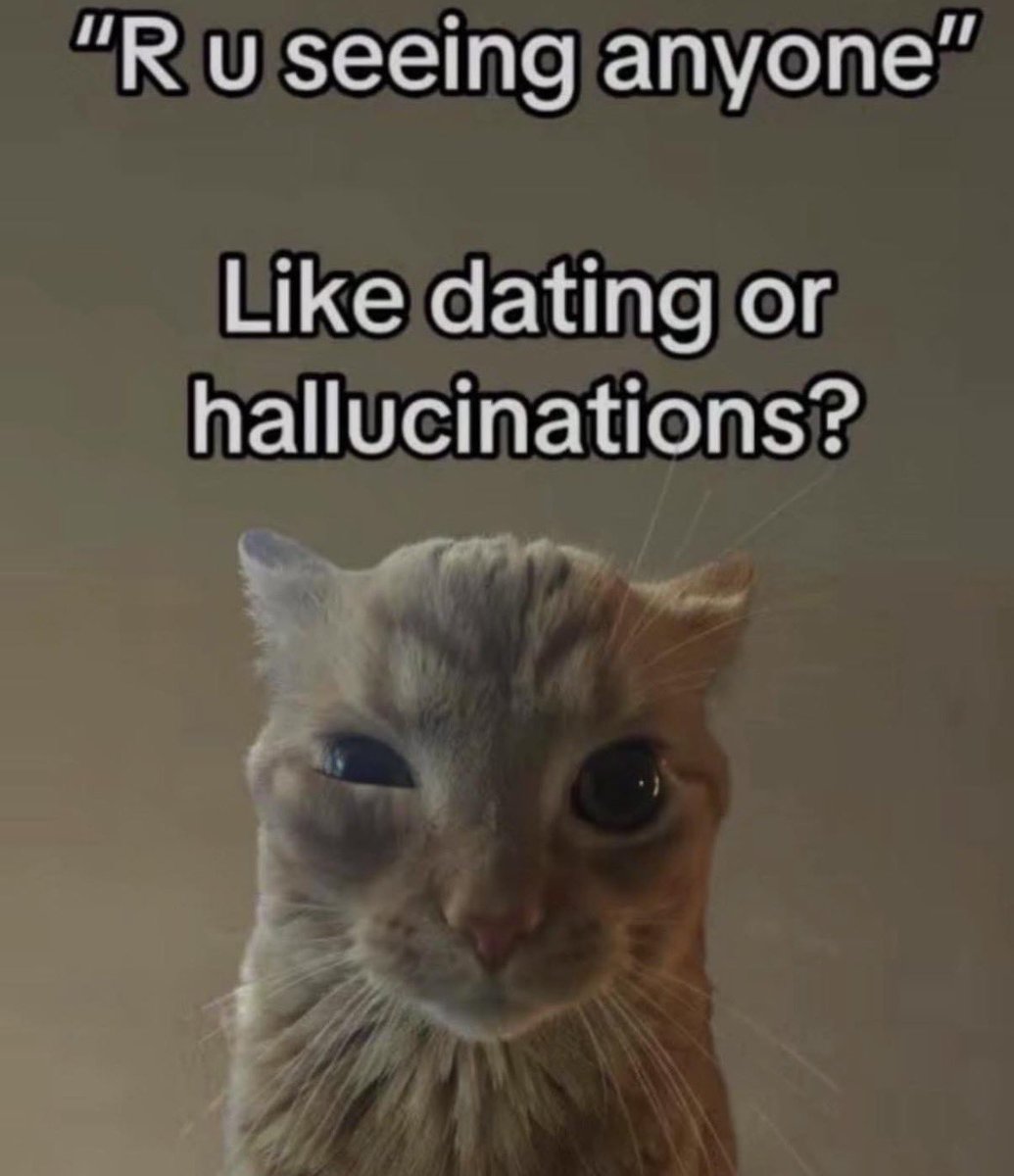 LiterallyMeCats tweet media