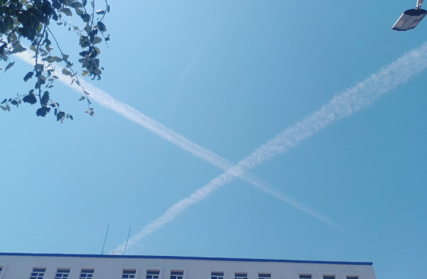 SICIMMAT-SLP tweet media