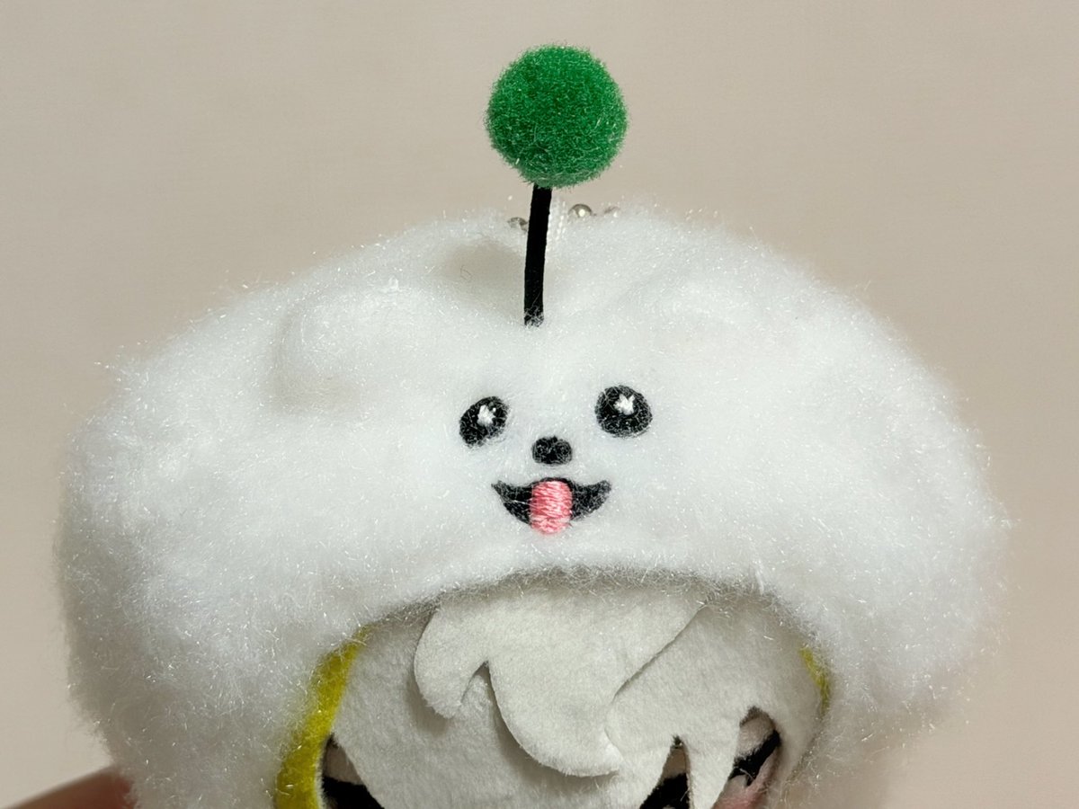 しゅまのかわいいお顔が見えるように毛刈った
