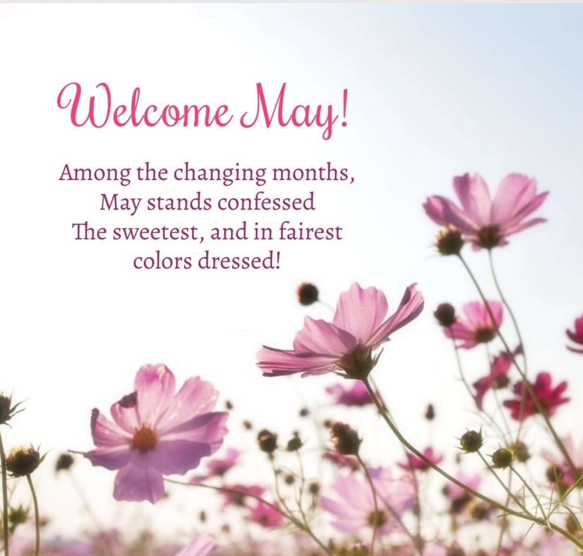 RefinishWay's tweet image. #HappyWeekend May is here!
