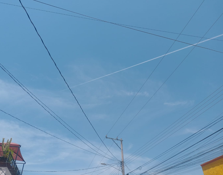 SICIMMAT-SLP tweet media