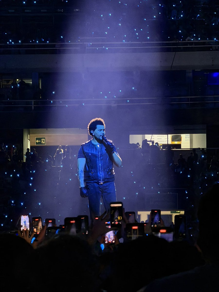 dudu lipa viu o abel tweet media