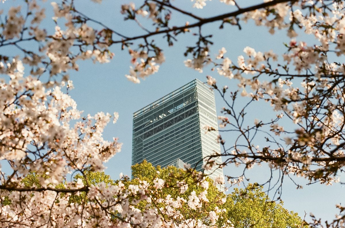 takeruneenee's tweet image. 今さら桜写真

KODAK Proimage100 期限切れ

#写真好きな人と繋がりたい
#フィルム写真
#filmphotography