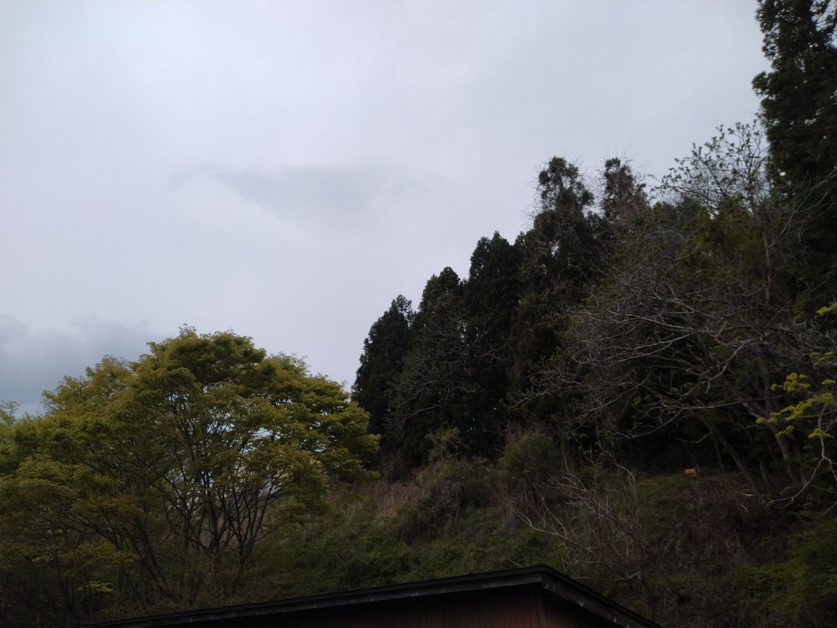 白髪黒長候 tweet media