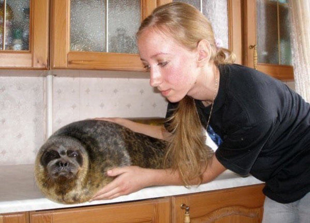 Herbuurna 🦭🇵🇷 tweet media