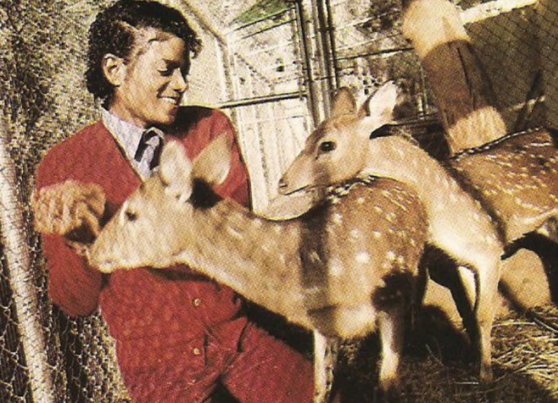 Cetti 🌙 tweet media