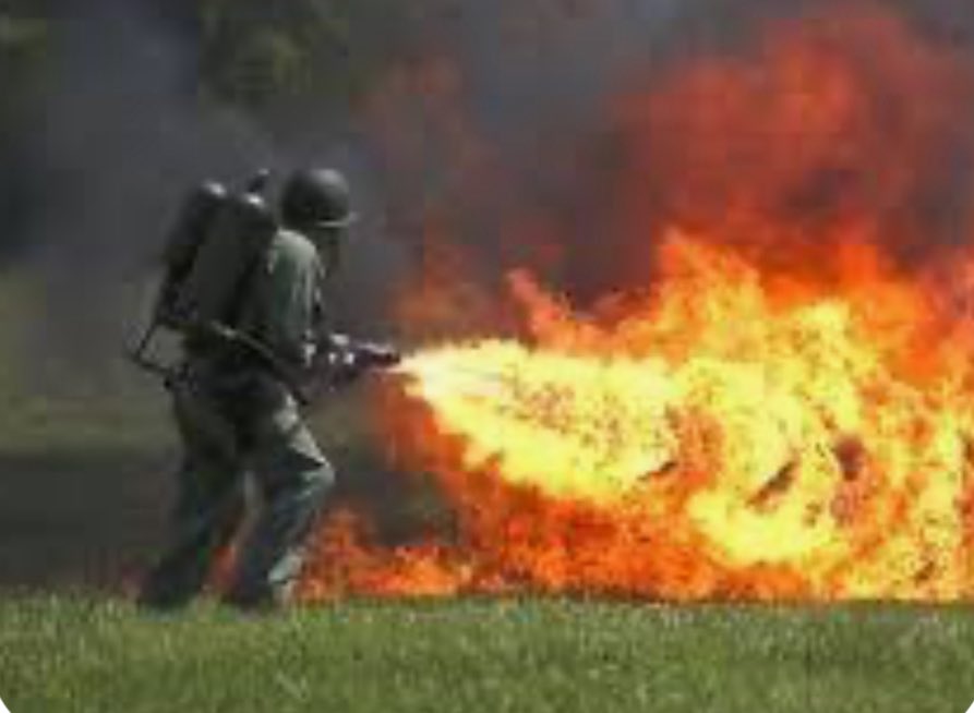 Andrew McGee tweet media