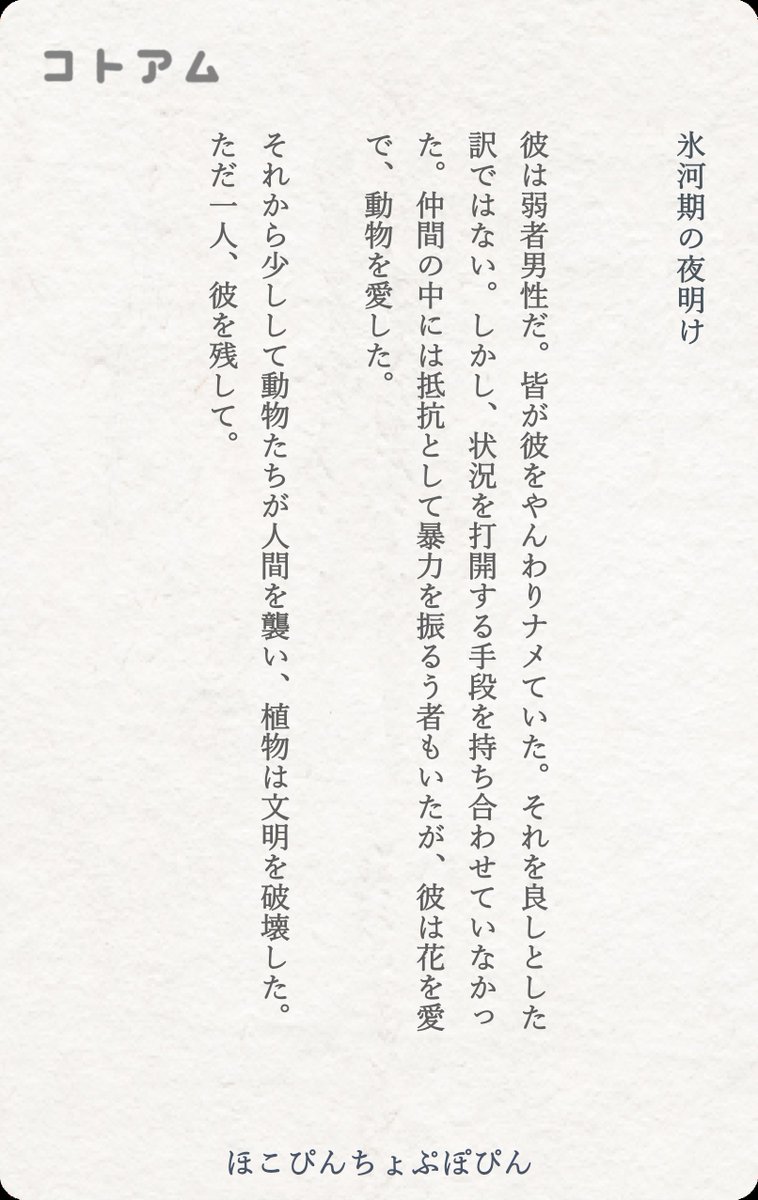 ぽこぴんちょぷぽぴん tweet media