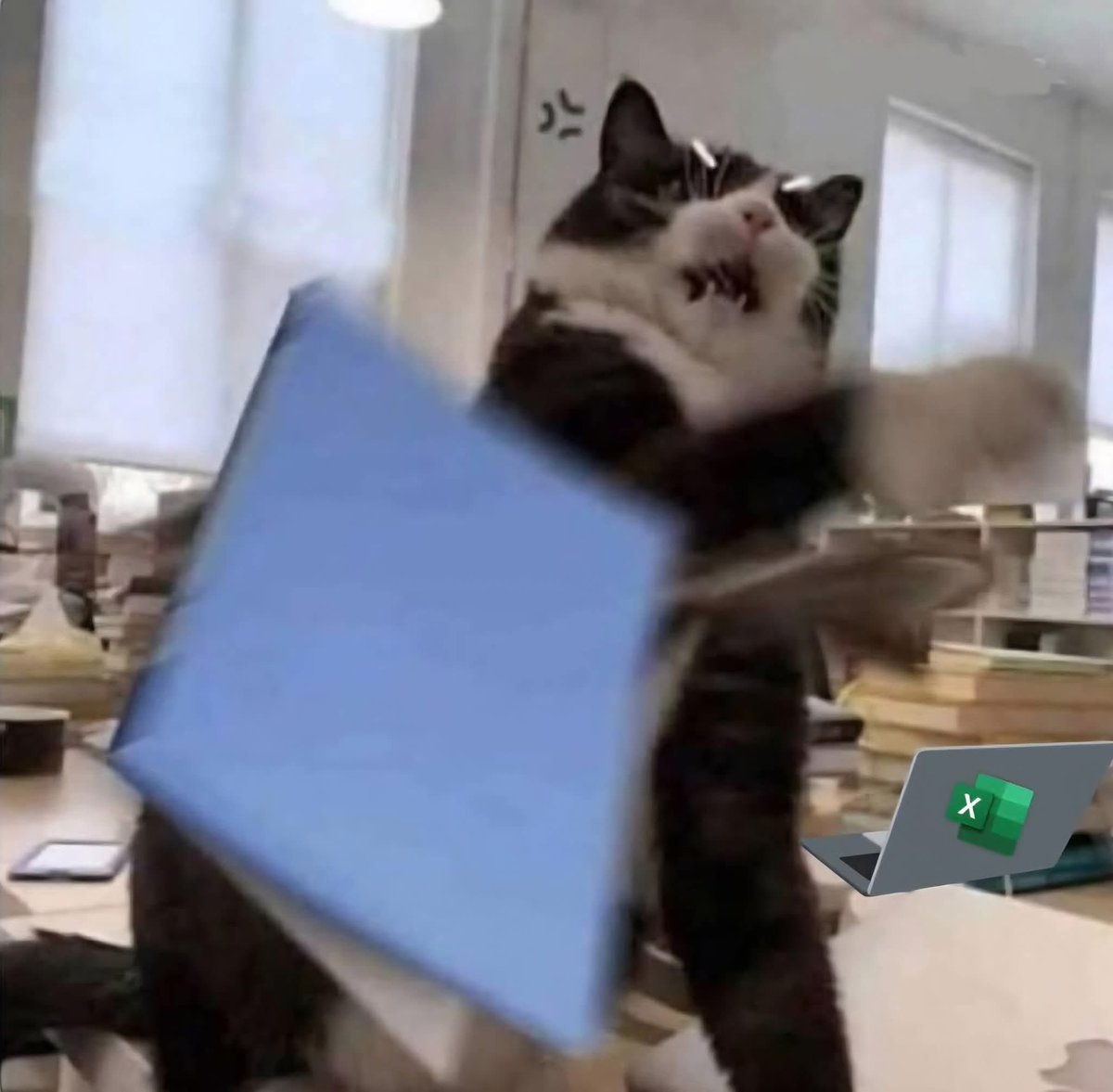 *Hoy no me voy a estresar* 
Yo, llegando al trabajo: