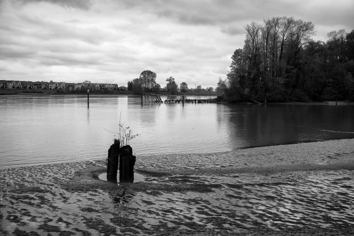 ArthurSimpkins's tweet image. Forever

📷Arthur Simpkins
arthursimpkins.com/blog/forever

#photography #blackandwhite #monochrome