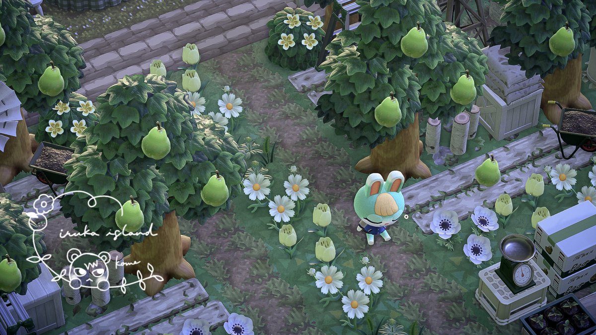 kome_iruka's tweet image. 🛌🏝️🫧
未完成なエリアですが、早朝から可愛いミッチェルに癒されました🐰💤

#あつ森 #あつ森写真部 #ACNH #AnimalCrossing