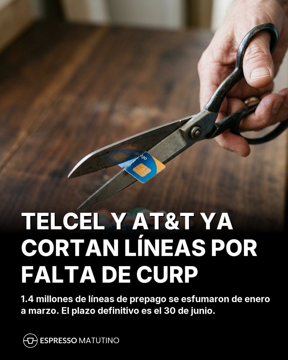 DRA. MERCEDES PAVON "SUPERMUELITA FIFÍ" tweet media